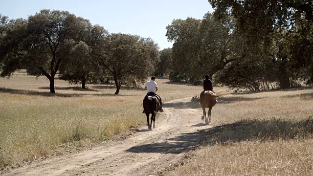 西班牙托莱多的荒野骑马者视频下载
