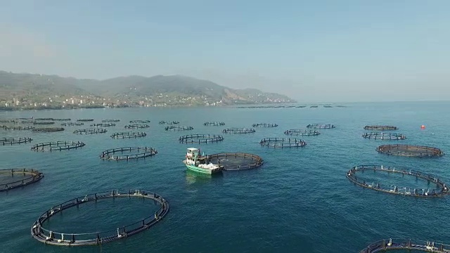 直升机拍摄的渔场视频下载