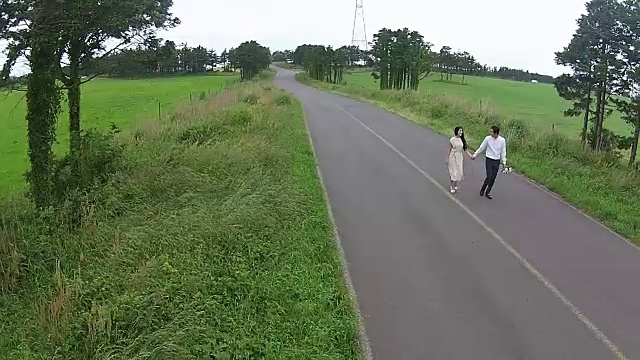 一对新婚夫妇手牵着手走在济州岛的Isidolmokjang农场的路上视频素材