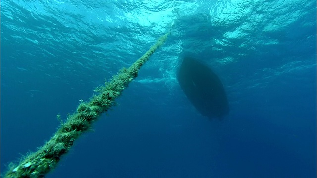 在加勒比海，巴哈马群岛，系泊游艇的锚绳视频下载