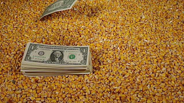 玉米和飞天美元钞票，慢镜头4K视频下载