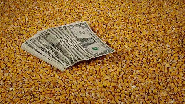 玉米和飞天美元钞票，慢镜头4K视频下载