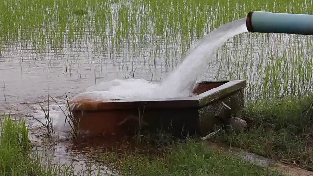 水从管子流入盆里的水。视频下载