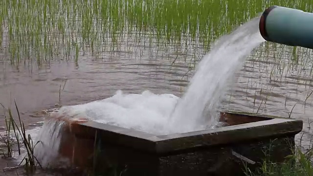 水从管子流入盆里的水。视频下载