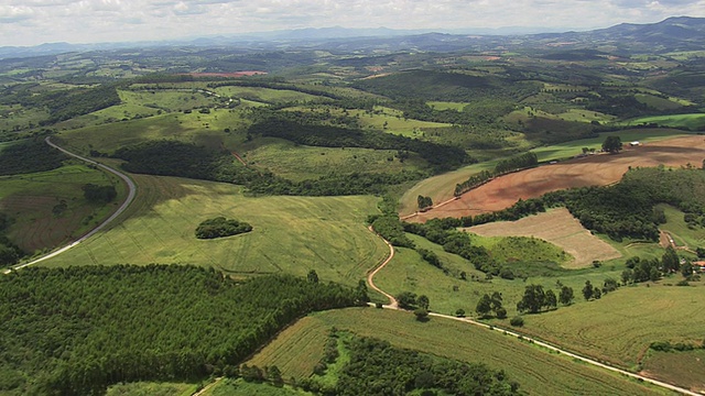 WS鸟瞰小山丘和种植园/米纳斯，巴西吉拉斯视频下载