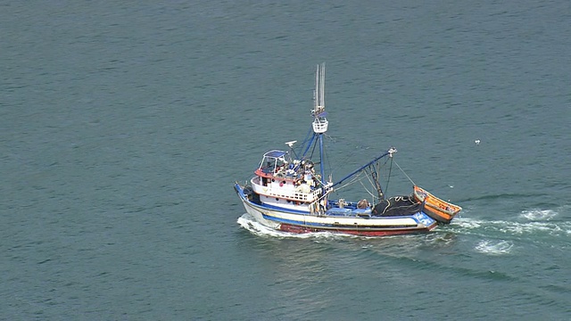 WS鸟瞰克雷恩船在海洋/里约热内卢de Janeiro，巴西视频素材