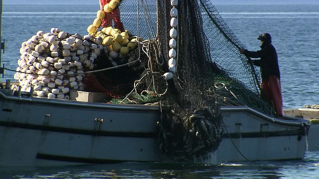 在阿拉斯加威廉王子湾，一艘渔船正在拉起一网鲑鱼。视频下载