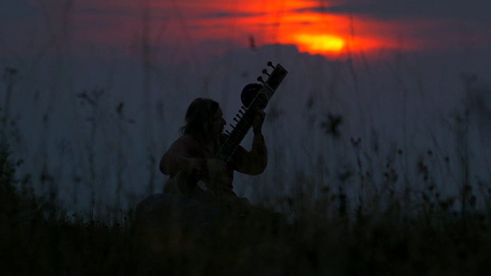 长发男音乐家演奏锡塔琴在高大的羽毛夏季草在日落草地视频素材