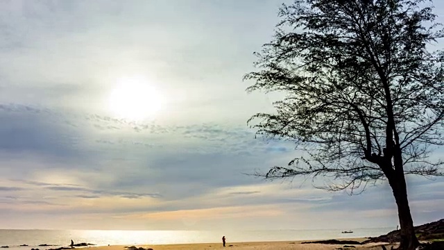 萨米拉海滩的自然景观视频下载