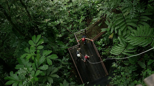 手持宽镜头的女人在热带雨林滑索/奎波斯，蓬塔雷纳斯，哥斯达黎加视频下载