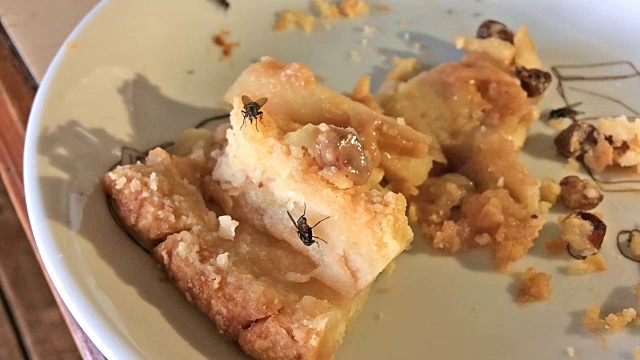苹果酥饼上的家蝇视频下载