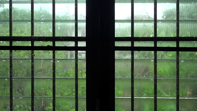 雨滴与窗户视频下载