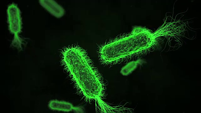 大肠杆菌绿色医学背景视频素材