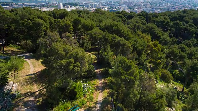 WS鸟瞰图，夫妇跑过森林俯瞰海滨城市视频下载