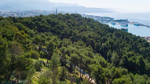 WS鸟瞰图，朋友们跑过森林俯瞰海滨城市视频下载
