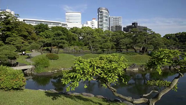 东京都芝离宫花园视频素材