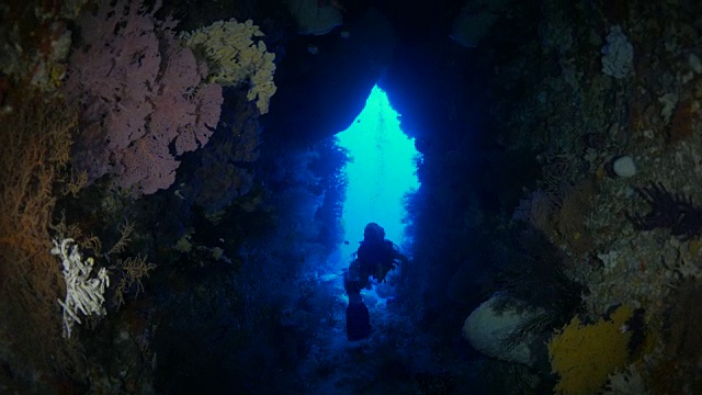 潜水员，游泳，海底洞穴视频素材