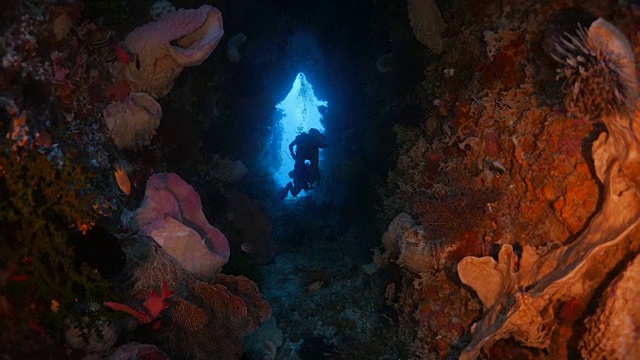 有珊瑚和海绵的水下洞穴视频素材