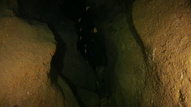 在黑暗的海底洞穴里游泳视频素材