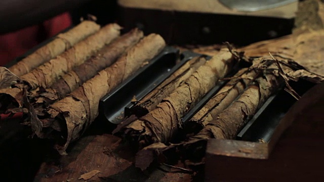 一排卷好的哈瓦那雪茄。视频素材