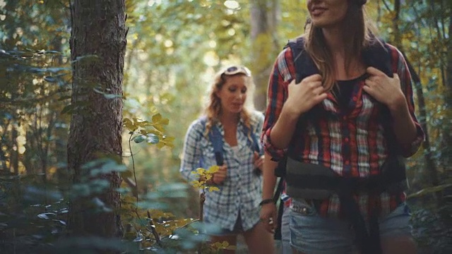 在森林徒步旅行者。视频素材