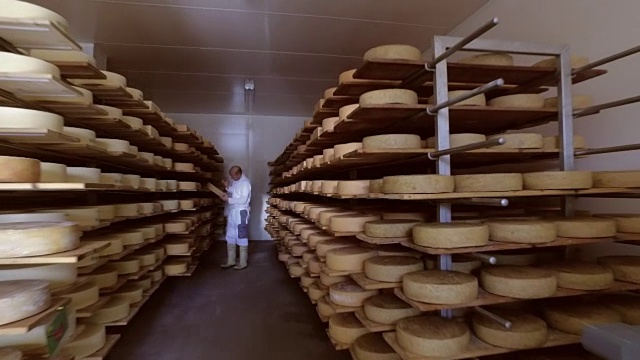 在一个小型私人奶牛场制作高质量的奶酪视频下载