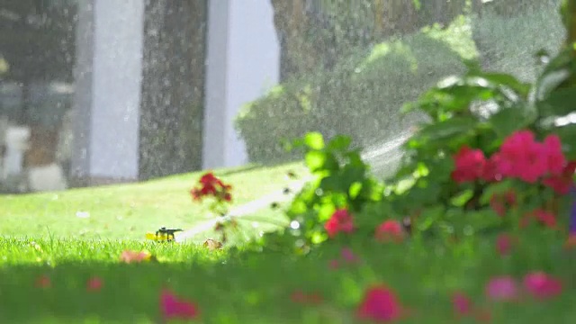 花园里洒水器的4K视频视频下载