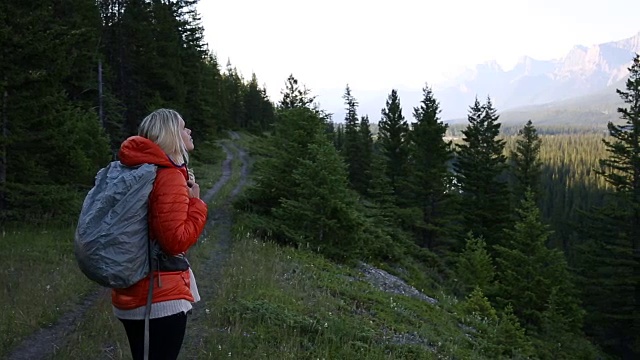 女性徒步旅行者走过日出穿过森林，清晨视频素材
