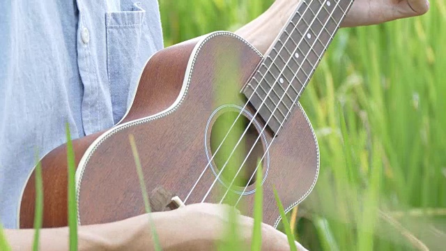 一名男子在稻田里弹奏吉他-尤克里里视频下载