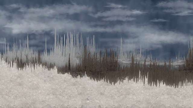 在寒冷的天空下滚动的分裂的冬树线视频下载