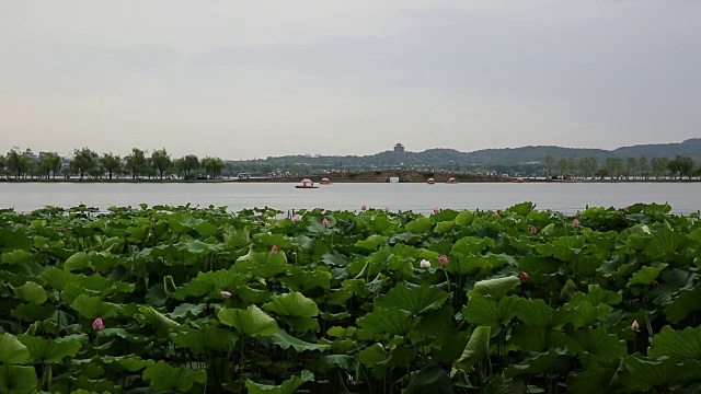 中国杭州西湖上的船只视频下载