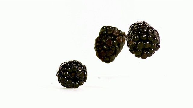黑莓，桑椹，水果落在白色背景，慢动作视频素材