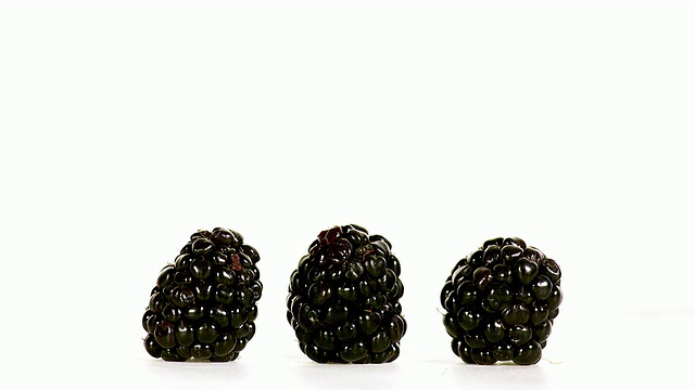 黑莓，桑椹sp，水果跳跃的白色背景，慢动作视频素材
