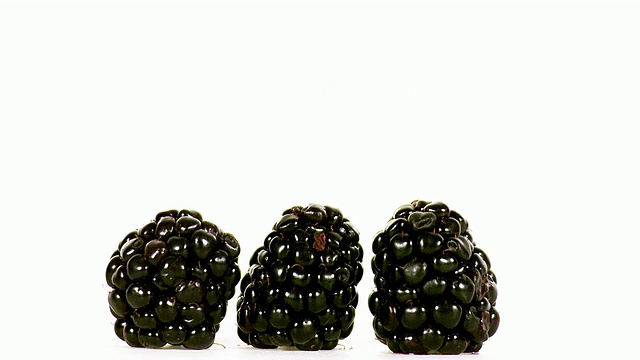 黑莓，桑椹sp，水果跳跃的白色背景，慢动作视频素材