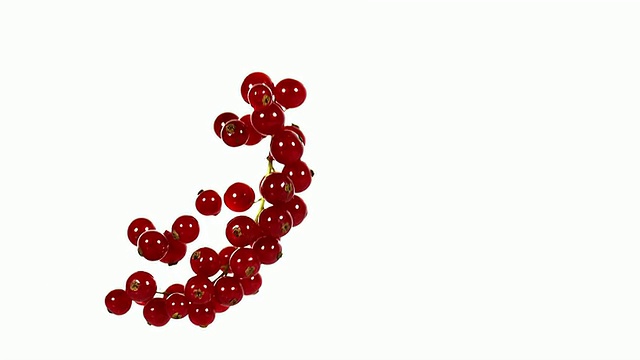 红醋栗，红莓，水果落在白色背景，慢镜头视频素材