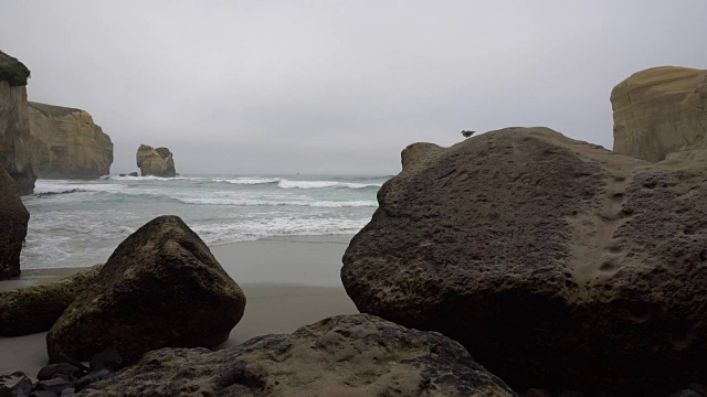 秘密海滩-奥塔哥-新西兰视频素材