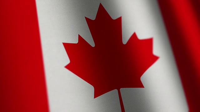 加拿大国旗环。视频下载