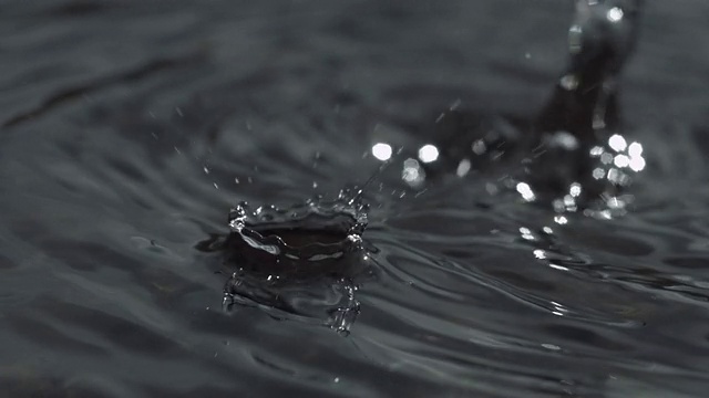 ECU SLO MO PAN拍摄水滴落入水池/大西洋橡树林，阿盖尔和比特，苏格兰视频下载