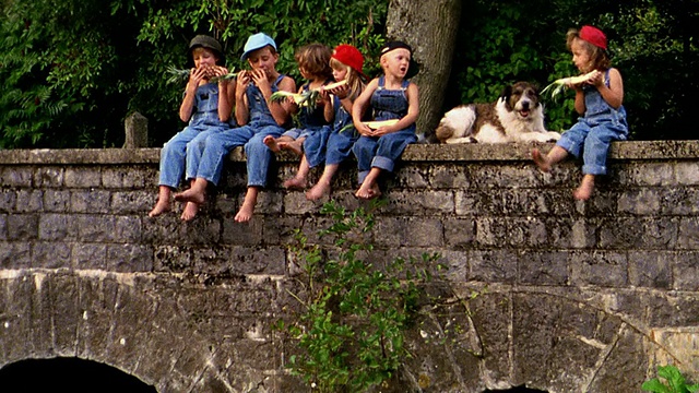 一群孩子穿着工作服吃菠萝+踢脚和狗坐在桥上视频下载