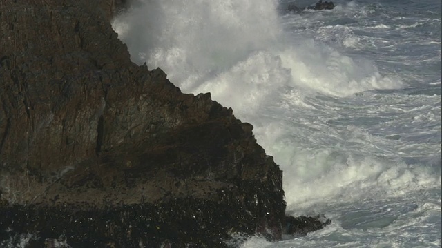 在新西兰，暴风雨的海浪卷向岩石岛屿视频素材