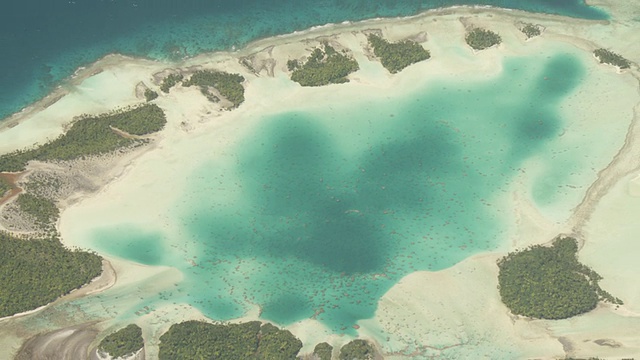 蓝泻湖和珊瑚礁在热带环礁泻湖边缘，朗伊罗，法属波利尼西亚视频素材