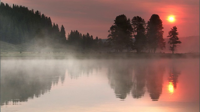 美国黄石公园，薄雾在日落时漂浮在湖面上视频素材