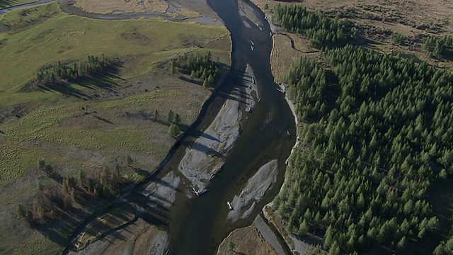 穿越蜿蜒的河流支流，黄石公园，美国视频下载