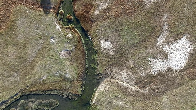 穿越蜿蜒的河流支流，黄石公园，美国视频下载