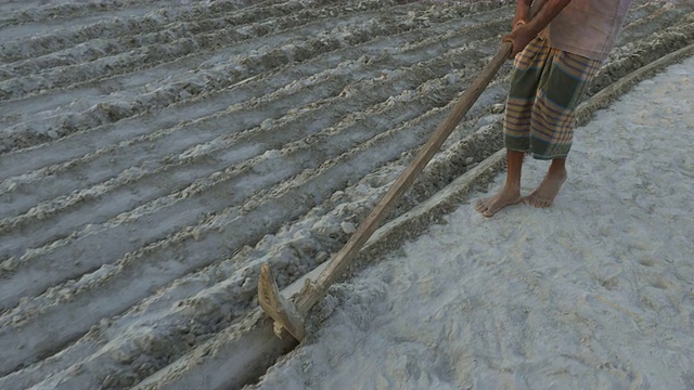 在孟加拉国的农村，农民们用手犁地，这片土地刚刚被河流退去的水位所显露出来，夕阳在三角洲上空的犁沟里种上了花生视频下载