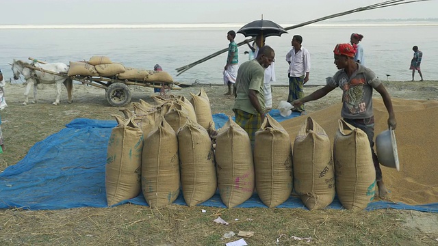 在每月一次色彩缤纷的集市上，家庭和商人们乘船聚集在一起，以物易物的方式出售和接触孟加拉国农村的当地产品和供应品视频下载