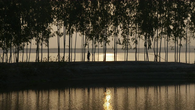 在孟加拉国贾穆纳河岸边，一名男子在日出的映衬下穿过竹堤视频下载