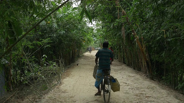 孟加拉国贾穆纳河岸边一个村庄的小路，一条竹林大道视频下载