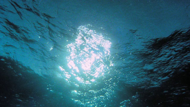 水下低角度阳光透过水/塔希提岛视频素材