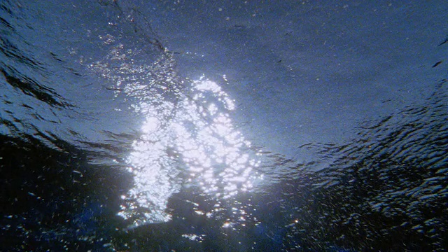 水下低角度阳光透过水/相机表面/塔希提岛视频素材